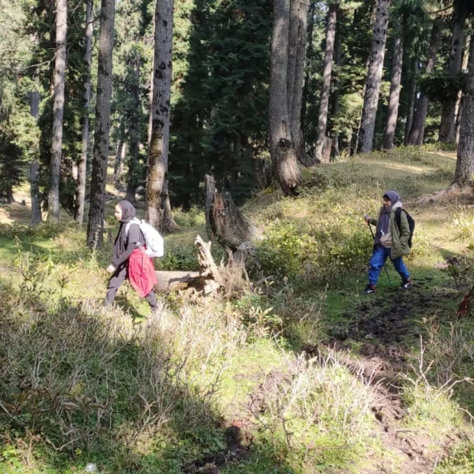 Brenwar Trek